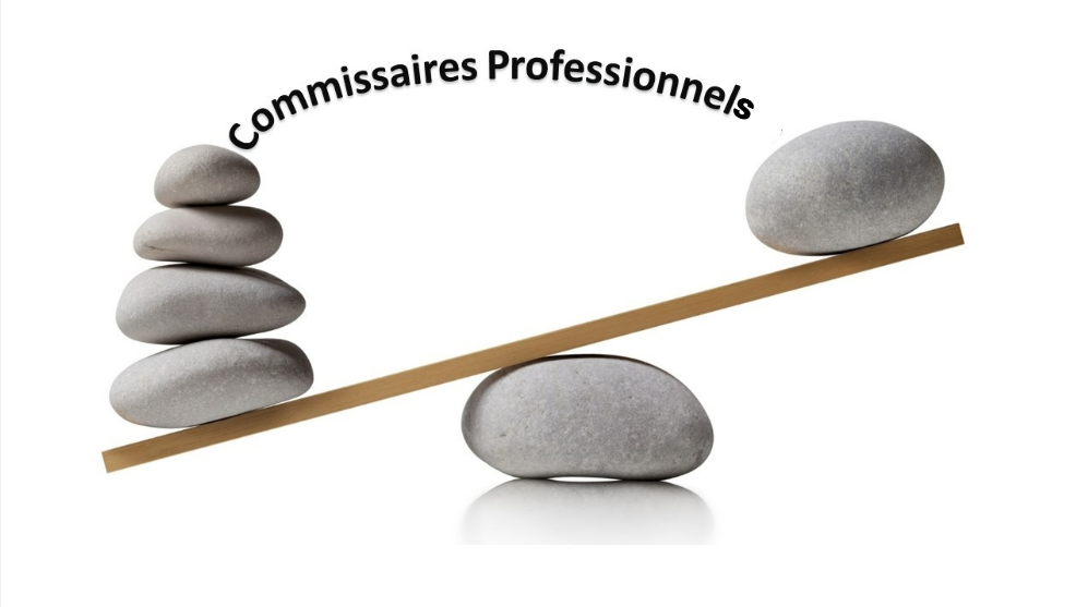 Permalink to:Commissaires professionnels